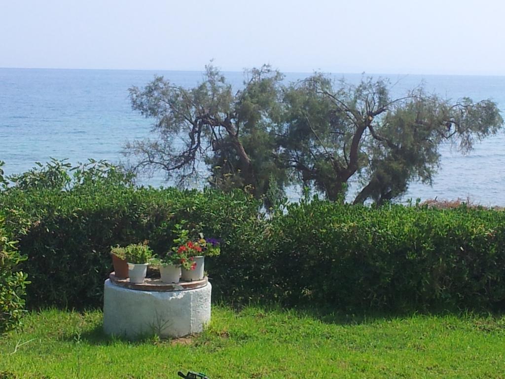 Beach Bungalows Kypseli Стая снимка